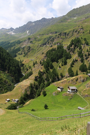 Alpine grassland with few huts and trees by the hillsideの写真素材