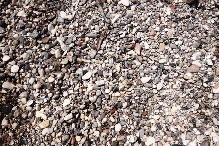 Beach surface with small rounded stones and shellsの写真素材
