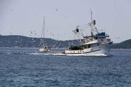 A fishing boat followed by the bevy of seagulsの写真素材