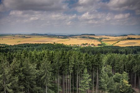 Flat rural land with forest in the frontの写真素材