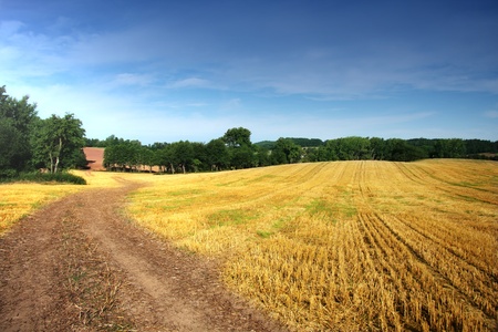 Summer landscape with yelow field, road and cloudsの写真素材