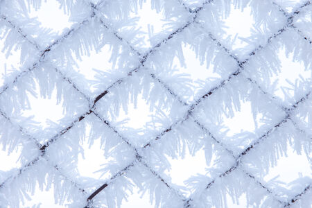 Fence with frost close-up