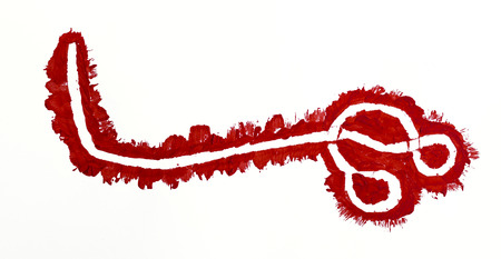 acrylic paint and brush painted illustration of Ebola virusの写真素材