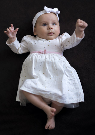 Adorable 10 week baby girl in a dress on a dark backgroundの写真素材