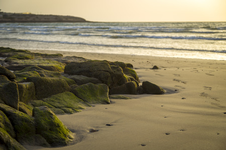 Atlantic coast of the Canary Islands at sunrise, Fuerteventura,の写真素材