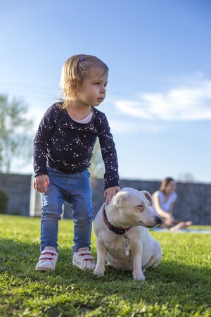 a two year old child enjoying a garden with a dogの写真素材