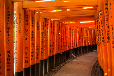 Fushimi Inari Taisha Shrine in Kyoto City, Japanのeditorial素材