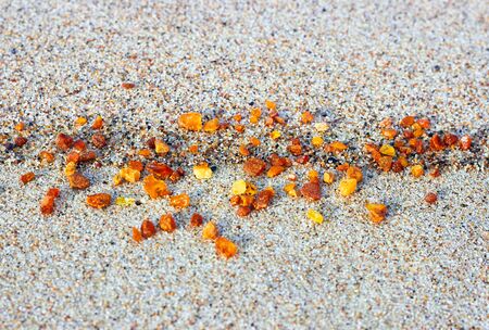 Amber in the sand. Amber on the seashoreの写真素材
