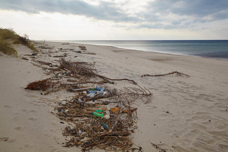 Trash and plastic bottles on the beachの写真素材