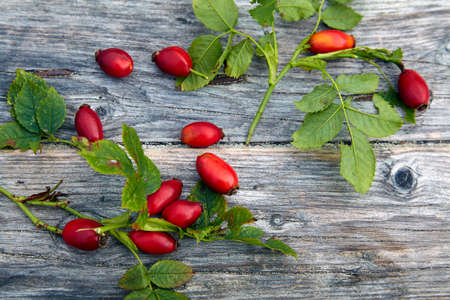 Red rose hips on a wooden backgroundの写真素材