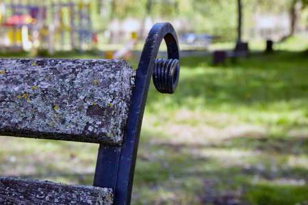 The park bench is covered with lichen and moss.の写真素材