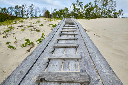 cenic wooden walkway access to the sea in the dunes