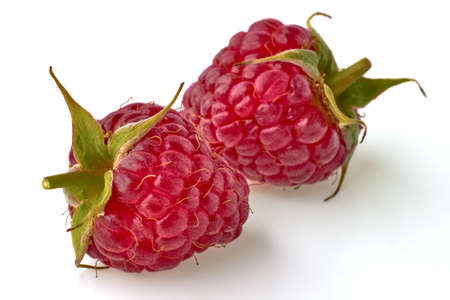 Two red raspberries with stalks isolated on white background
