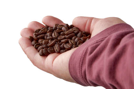 Freshly roasted coffee beans in a mans weary palmの写真素材