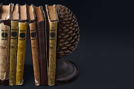 Old dilapidated books stand between holders in the form of spit cones on a dark background. copy spaceの写真素材