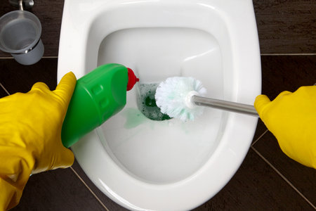 A person in yellow rubber gloves cleans the toilet bowl with a brush and disinfectantの写真素材