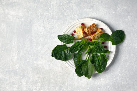 Fried curd cheese mozzarella halloumi with green spinach and lingonberry cranberries on a gray concrete table. top view with copy spaceの写真素材