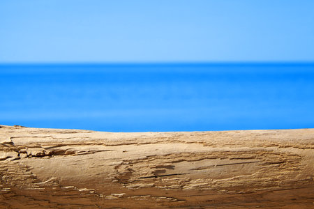 A cracked, weather-beaten tree trunk, a log on the yellow sand on the shore of the blue sea. product presentation podiumの写真素材