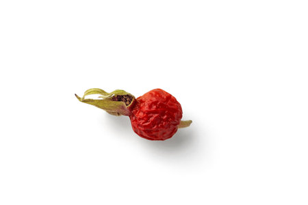 dried rose hip isolated on white backgroundの写真素材