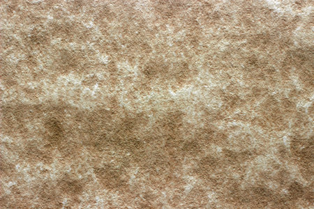 beige stone plastered surfaceの写真素材
