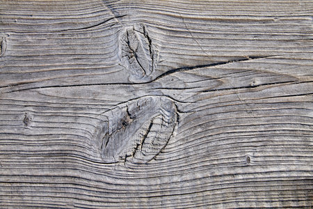 gray wooden surface with knots and cracksの写真素材