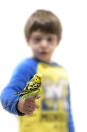 Cute boy holding his budgerigar friend on his fingerの写真素材