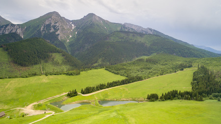 Beautiful view of mountain forest covered in clouds, summertimeの写真素材