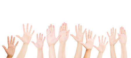 Many hands up isolated on white backgroundの写真素材