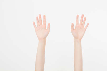 two hand isolated on white.Voting hand. Mock up. copyspace. template. blank.