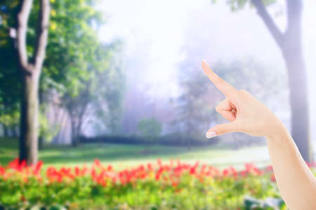 pointing female hand on blurred garden or park background, mock upの写真素材