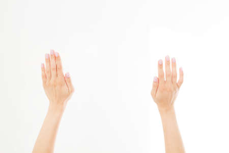 Two close woman,girl hands isolated on white background. Female arms holding invisible items. copy spaceの写真素材