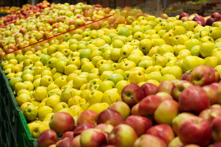 Red and yellow apples background.Raw fruit backgrounds overhead perspective. Healthy organic apple food. selective focus. supermarket.の写真素材