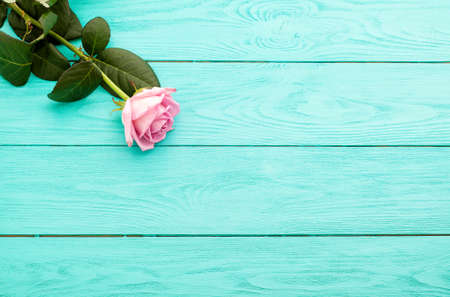Pink rose on blue wooden table. birthday. Top view and copy space. Mock upの写真素材