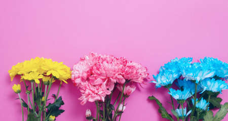Yellow and blue summer flowers composition isolated on pink background. mother and women day. Valentine holidays concept. Top view and copy space. banner mockup. flower seasonの写真素材