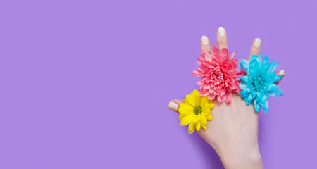 Woman hand and yellow, blue, pink flowers isolated on background. Summer and spring concept. Fashion...