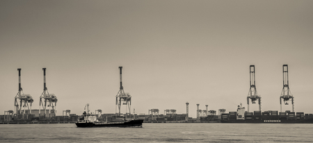Harbor cranesの写真素材