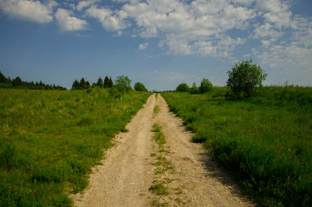 Dusty country road in summerの写真素材