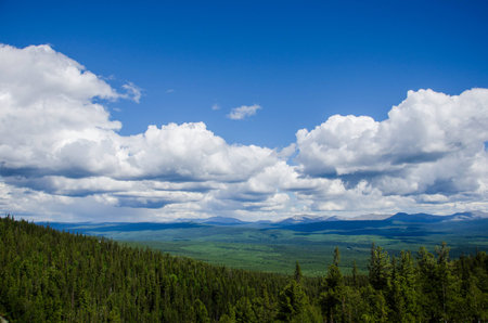 Sky and clouds above the green pine forest from the top of the mountainの写真素材