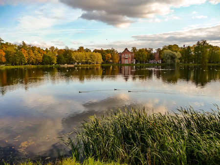 Pond with ducks in autumn Parkのeditorial素材