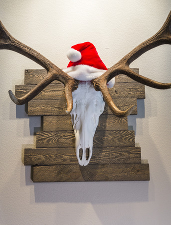 Christmas Elk Headの写真素材