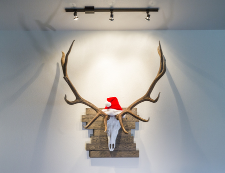 Christmas Elk Headの写真素材