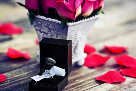 A close up of wedding band , engagement ringの写真素材