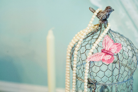 Bird Cage as a table decoration with  a butterfly for a wedding or eventの写真素材