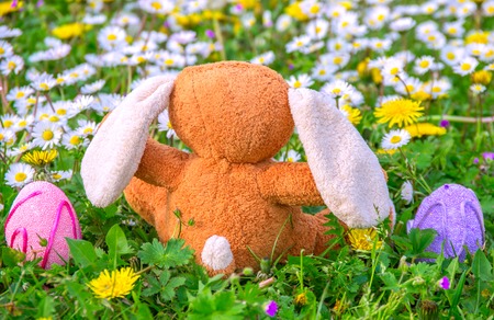 Easter eggs and rabbit on flowered green