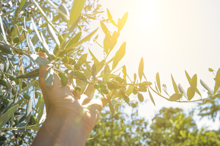 control qualityの写真素材