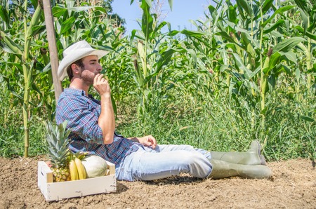 Farmer relaxing on a hoe in a field after collecting fruits and vegetablesの写真素材