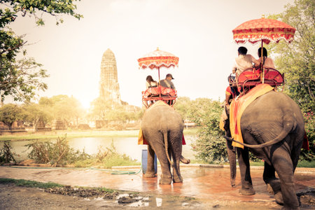 Tourists riding elephants in Ayutthaya,Thailandのeditorial素材