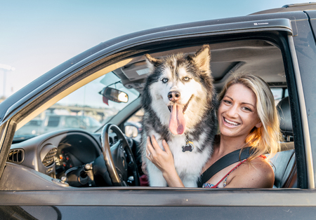 Beautiful girl and husky sitting in a car and looking at camera - Funny dog with owner in a carの写真素材