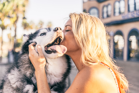Beautiful blonde woman stroking her dog outdoorsの写真素材