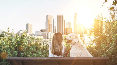 Woman and her loyal dog enjoying sunset at the city view pointの写真素材